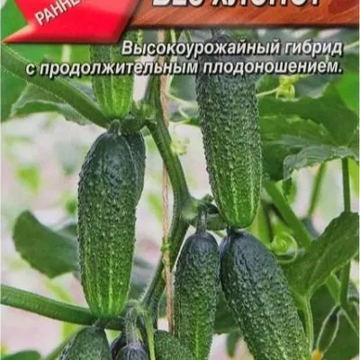 ni-zabot-ni-hlopot-f1-3-202971