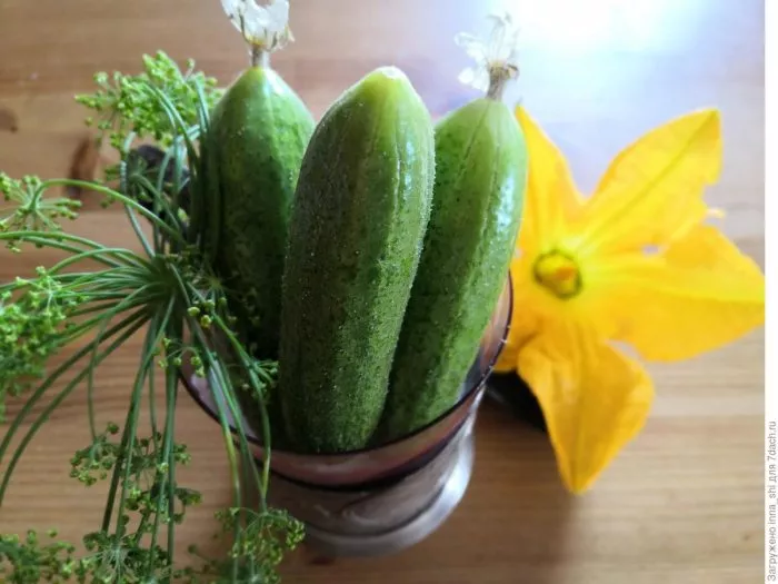 ni-zabot-ni-hlopot-f1-main-202971