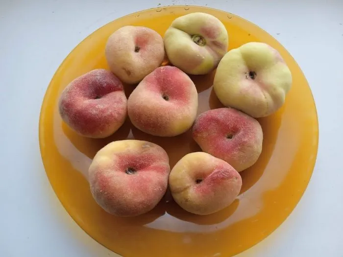 nikitskiy-ploskiy-4-224357