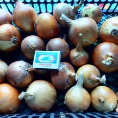 odintsovets-6-223383