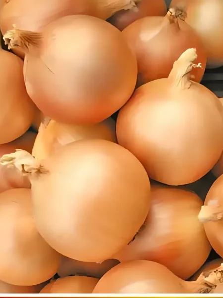 odintsovets-main-223383