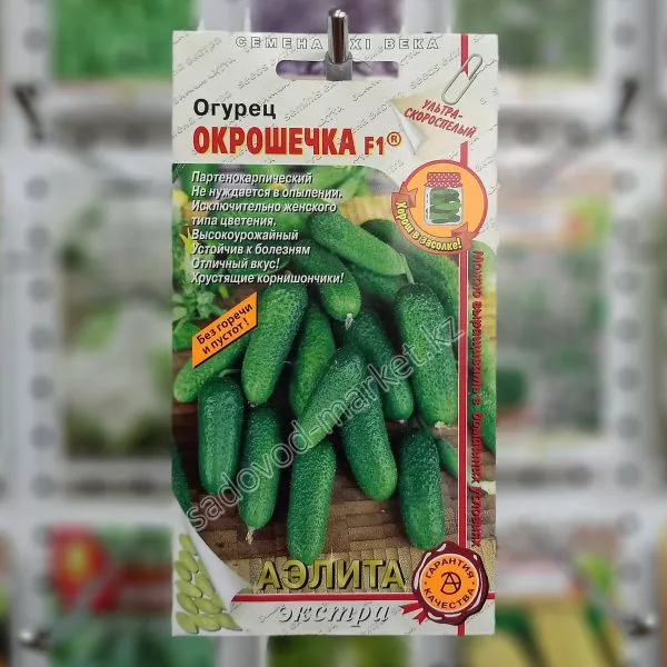 okroshechka-1-202052