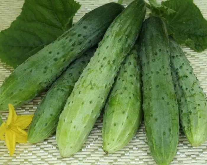 olimpiada-main-202192