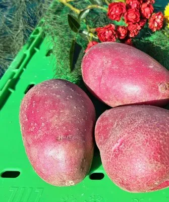 Оскар