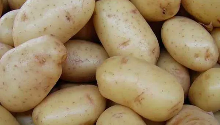 peterburgskiy-2-211878