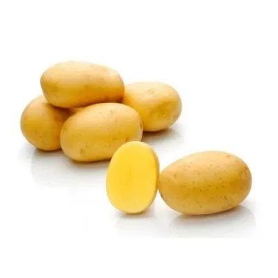 peterburgskiy-4-211878