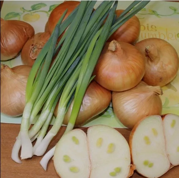 pogarskiy-mestnyy-uluchshennyy-1-222566