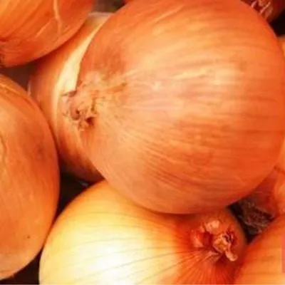 pogarskiy-mestnyy-uluchshennyy-main-222566