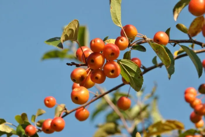 professor-shprenger-1-214020