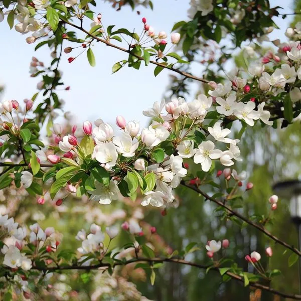 professor-shprenger-2-214020