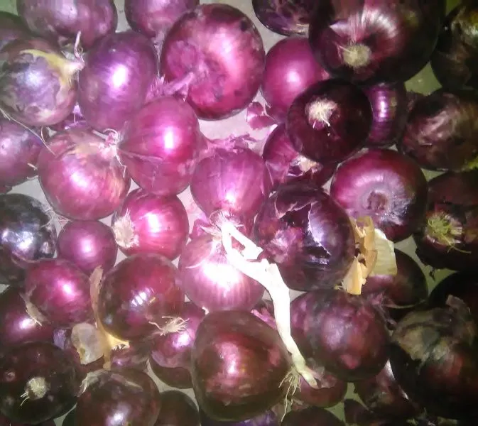 prometey-main-222674