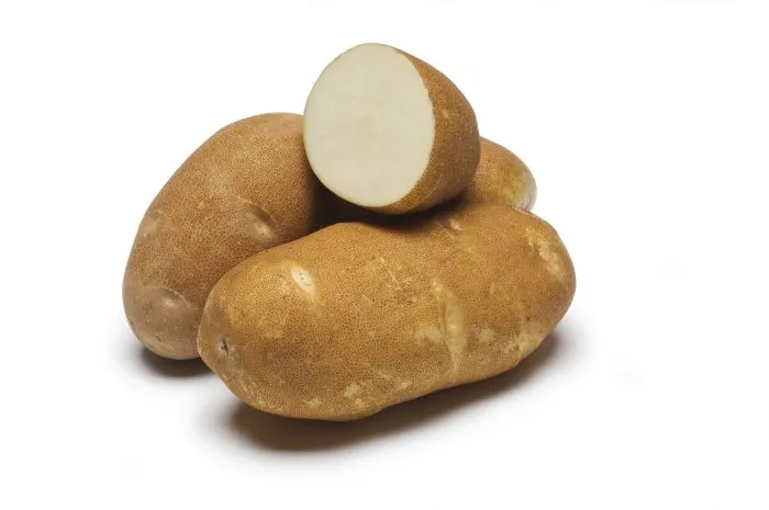 rasset-burbank-1-211889