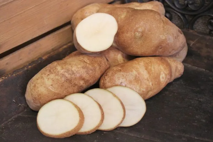 rasset-burbank-6-211889