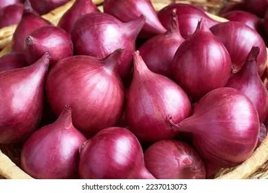 red-svit-main-222374