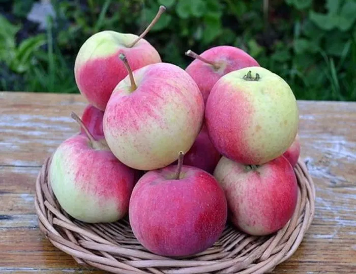 rodnikovaya-2-217489