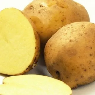 rossiyanka-main-208203