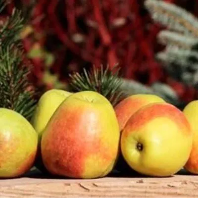 rossoshanskoe-vkusnoe-4-214117