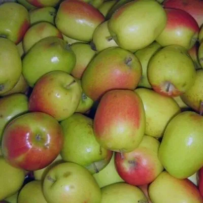 rossoshanskoe-vkusnoe-5-214117