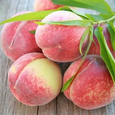 rubinovyy-prints-6-224273