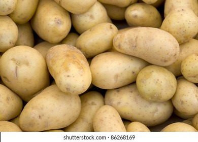 Картофель Сагитта - полное описание сорта с фото и отзывами