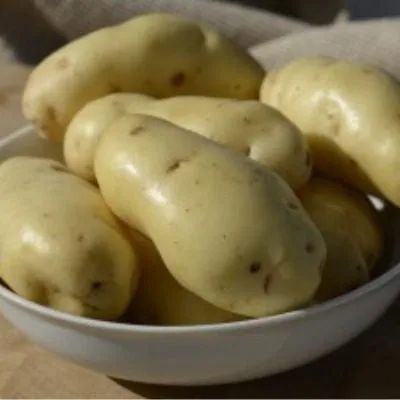 sarpo-kifli-5-211995