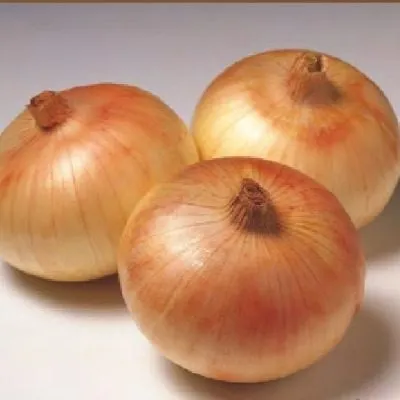 senshuy-ellou-glob-8-221670