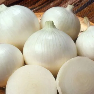 serebryanaya-luna-main-221524