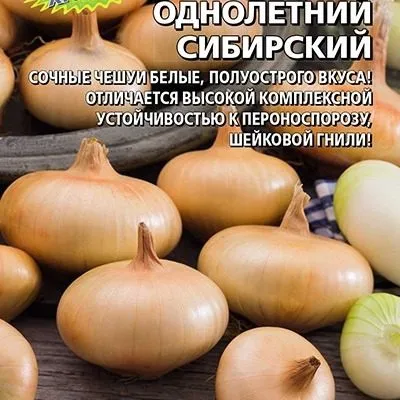 sibirskiy-odnoletniy-3-221703