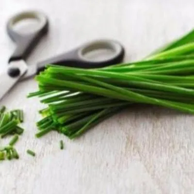 sirenevyy-zvon-5-222654