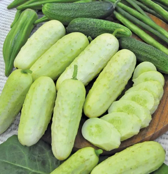 sladkiy-hrust-4-207150