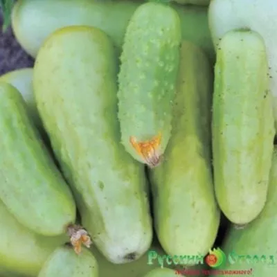 sladkiy-hrust-8-207150