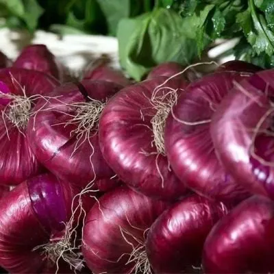 sladkiy-krym-5-221945