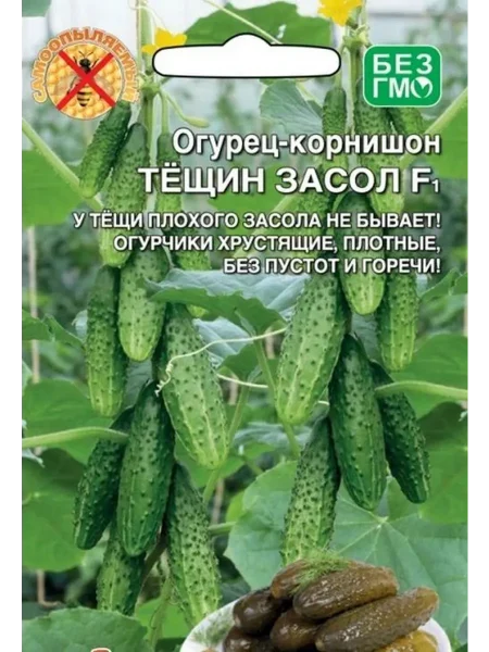 teschin-zasol-1-205839