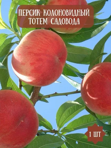 totem-sadovoda-4-224148