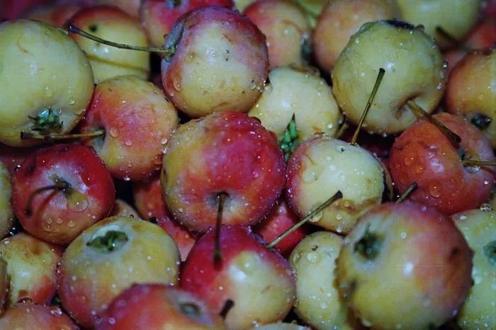 transtsendent-main-221111