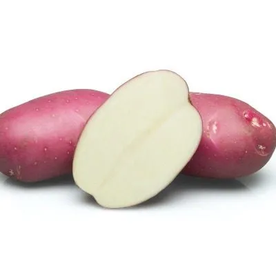 tserata-kvs-3-212108