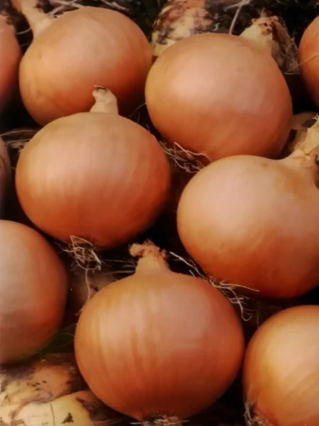 universo-main-222648