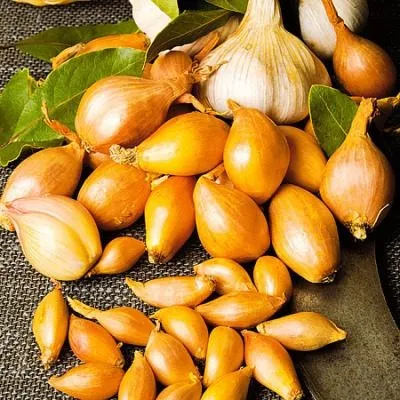 uralskiy-40-3-221572