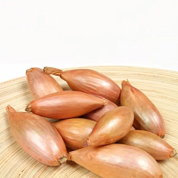 uralskiy-40-main-221572