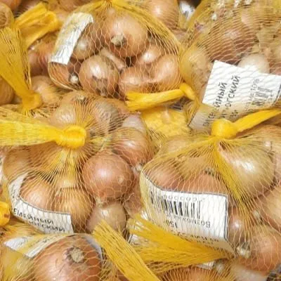 velikoustyugskiy-6-221736