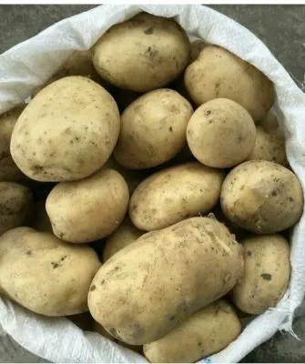 Весна