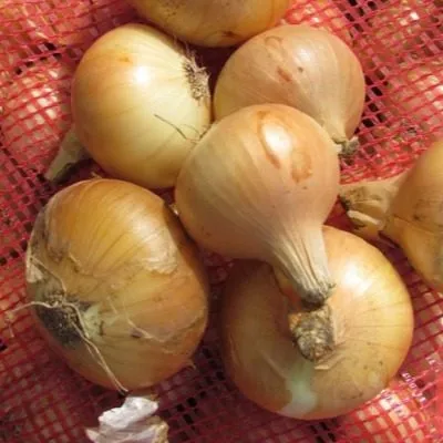 voronezhskiy-86-4-222710