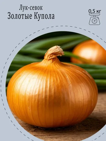 zolotye-kupola-2-221541