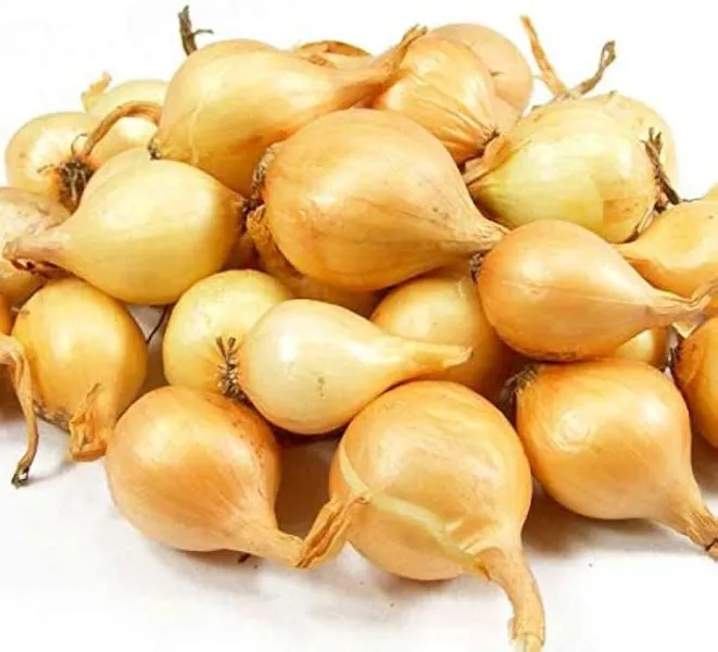 zolotye-kupola-3-221541