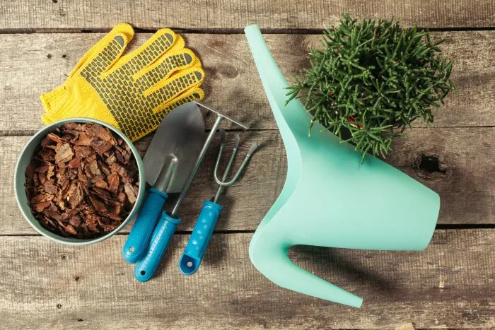 секатор грабли лейка материалы для мульчирования