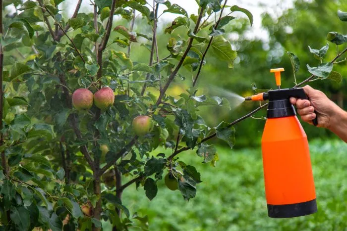 опрыскивание яблони биопрепаратом