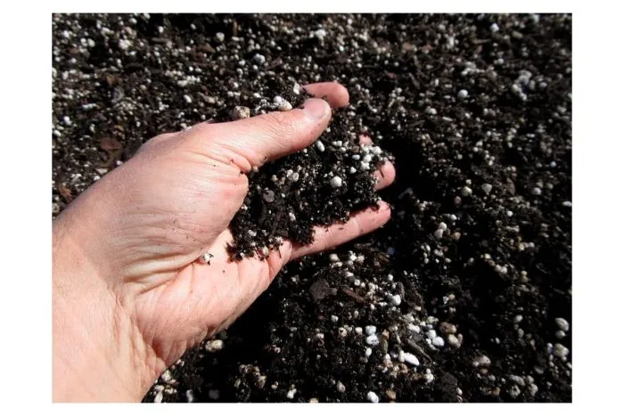 торф и перлит для рассады