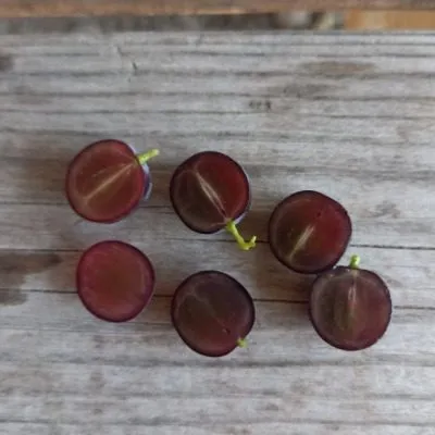 chernyy-sultan-9-233920