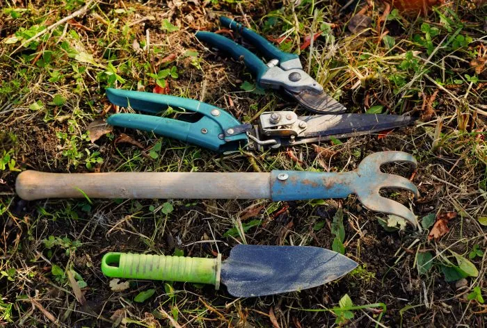 садовые инструменты лопата вилы секатор ножовка