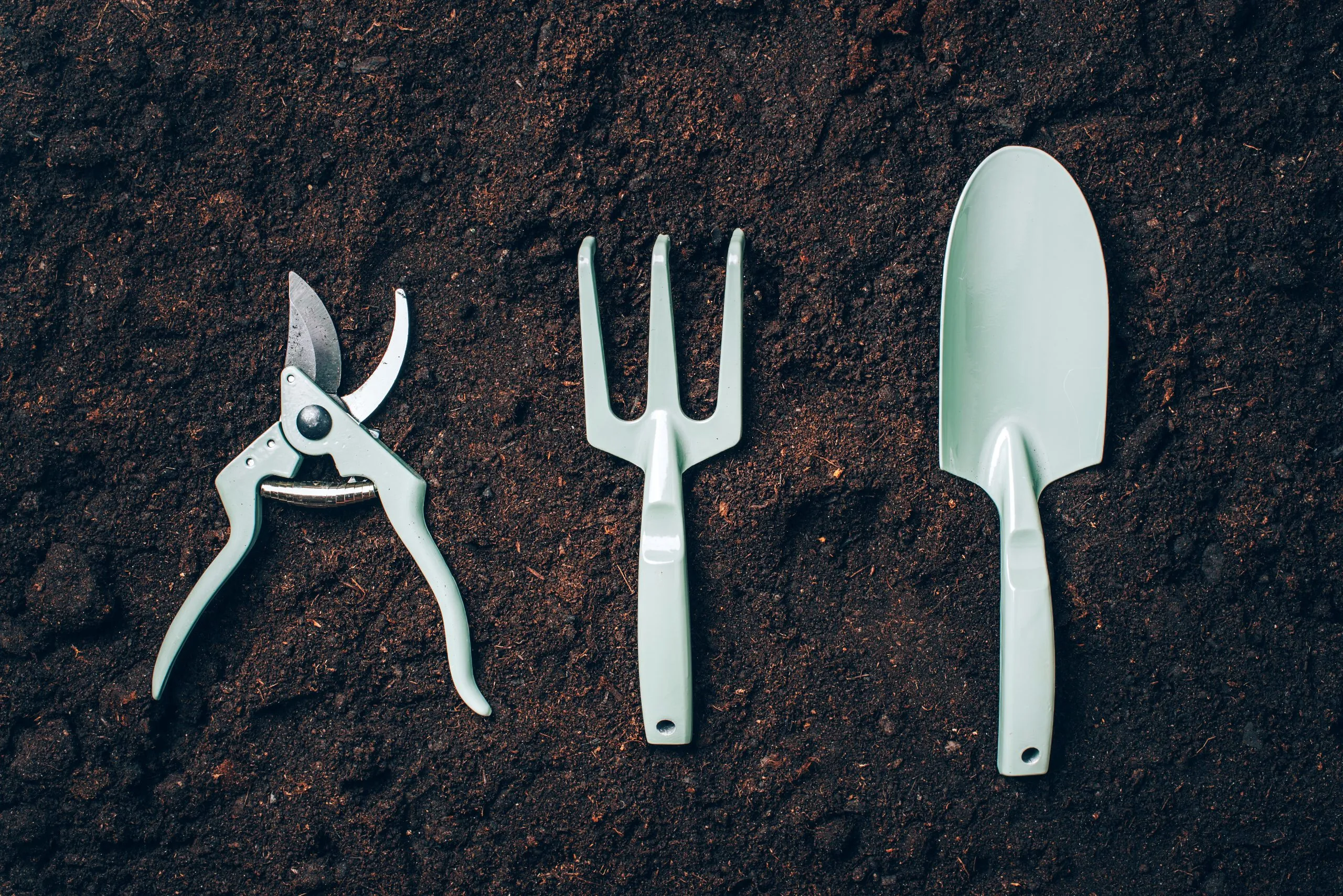 лопата и секатор для деления растений